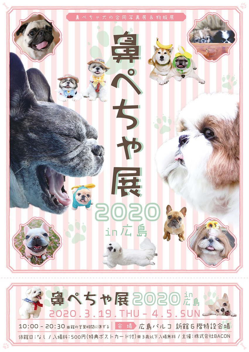 f:id:abcdogs:20210112180258j:plain