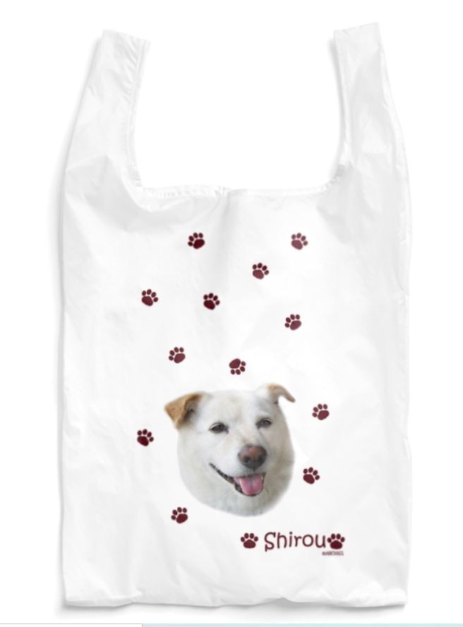 f:id:abcdogs:20210219150306j:plain