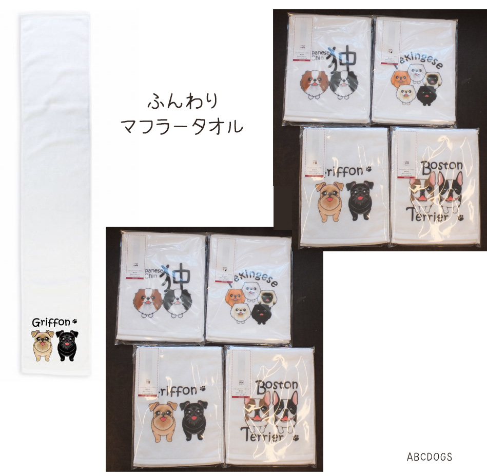 f:id:abcdogs:20210302165234j:plain