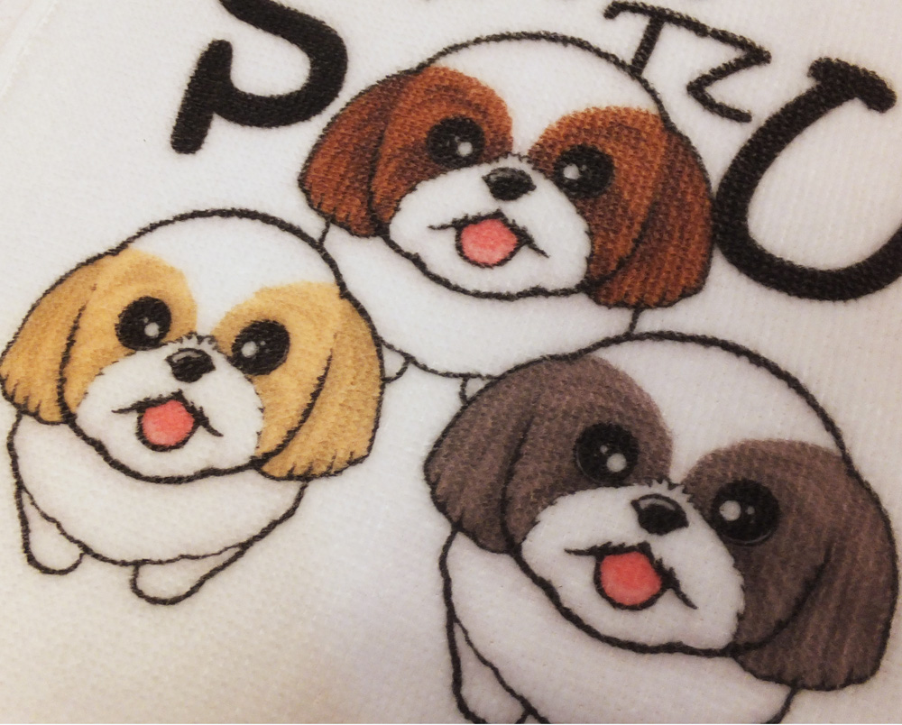f:id:abcdogs:20210302165254j:plain