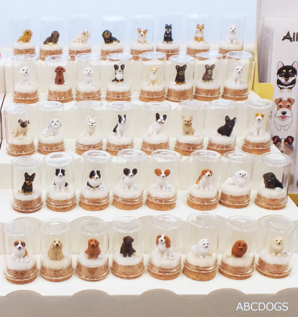 f:id:abcdogs:20210318154439j:plain