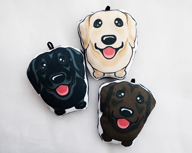 f:id:abcdogs:20210318160750j:plain