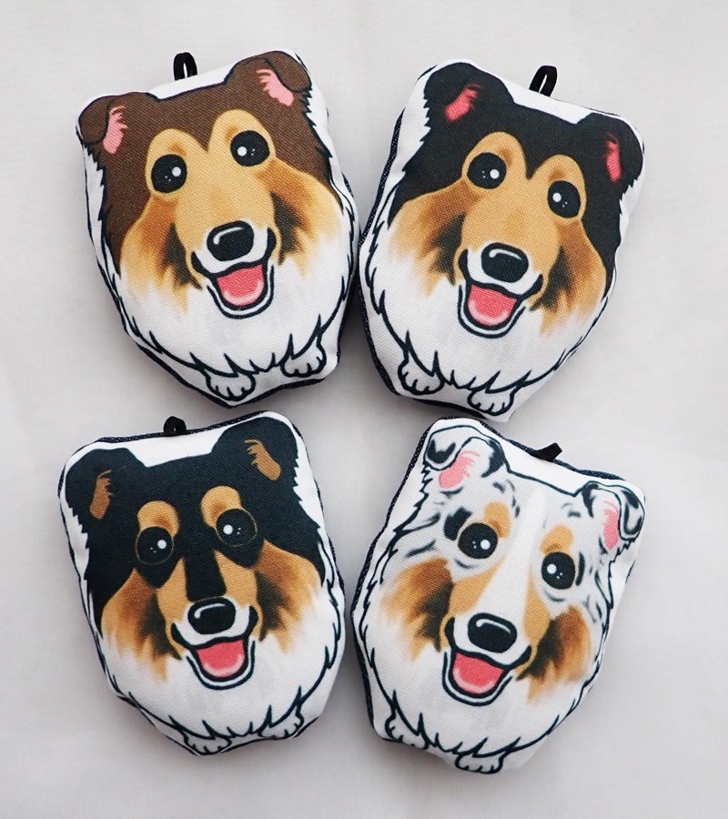 f:id:abcdogs:20210318161321j:plain