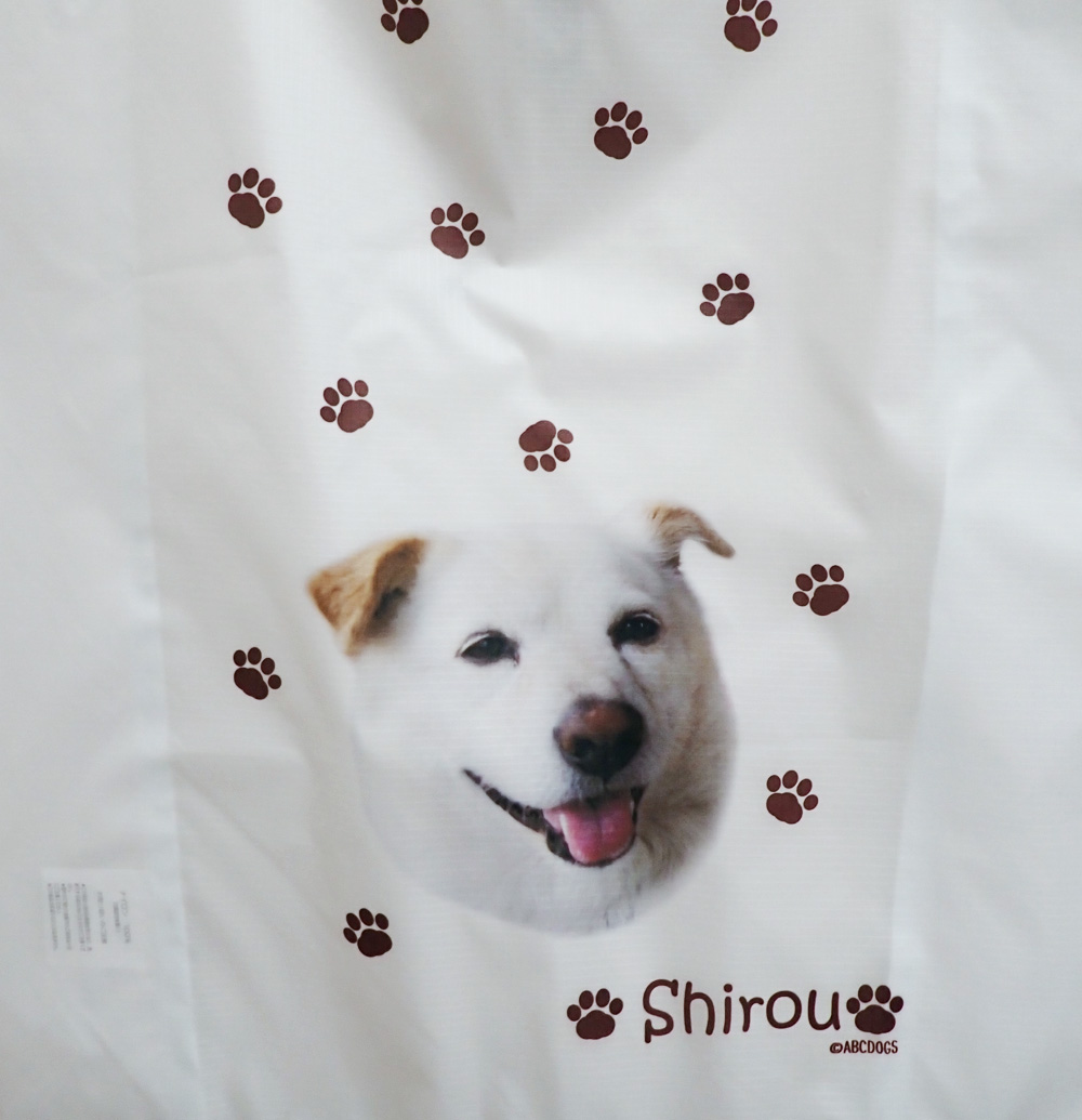 f:id:abcdogs:20210411131733j:plain
