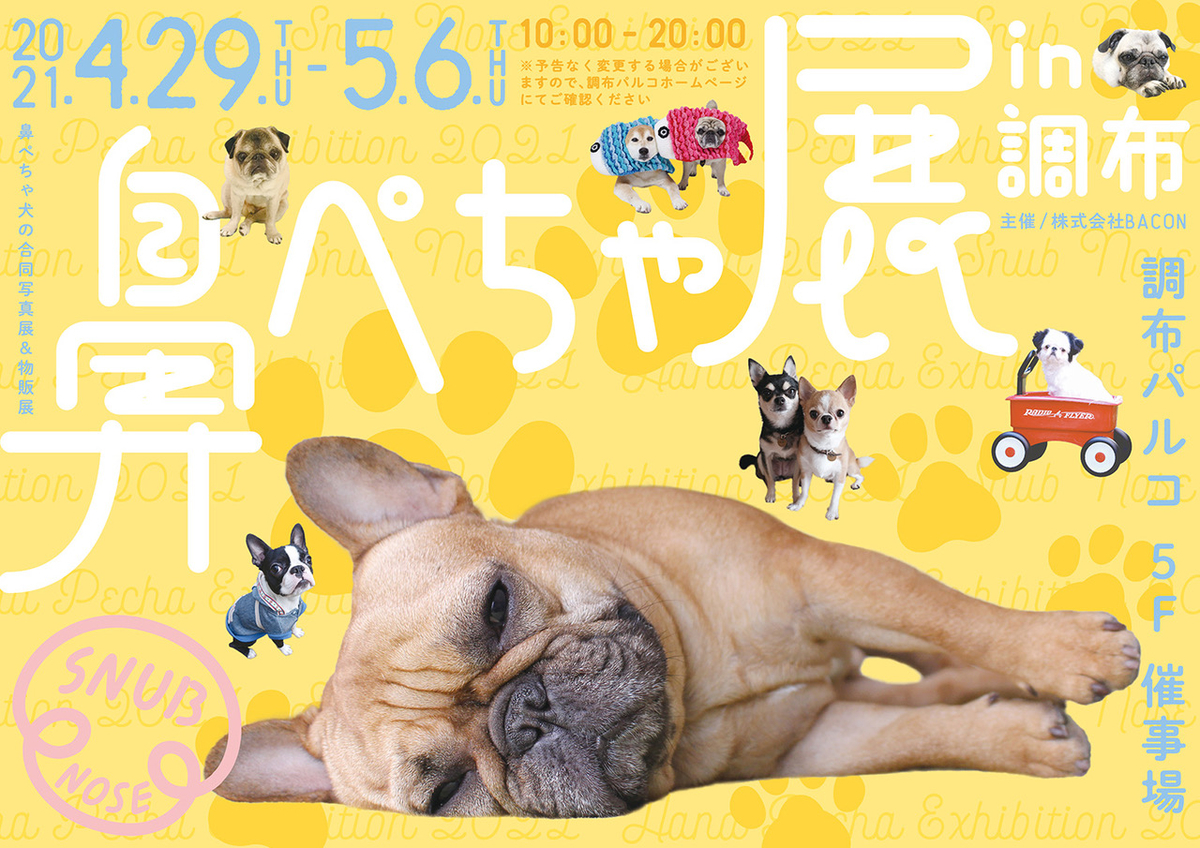 f:id:abcdogs:20210414082818j:plain