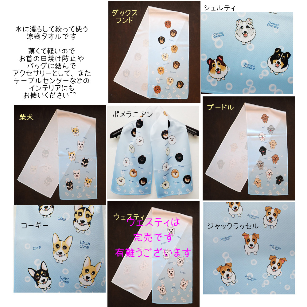 f:id:abcdogs:20210805212802j:plain