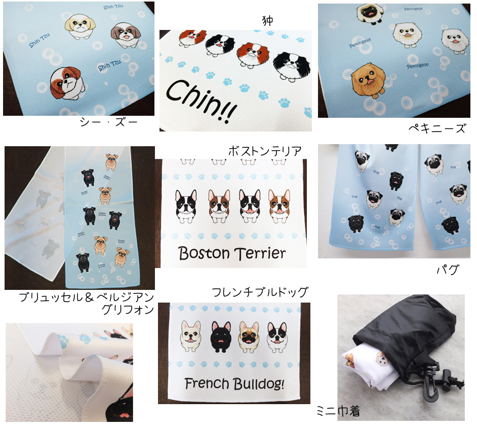 f:id:abcdogs:20210805212819j:plain