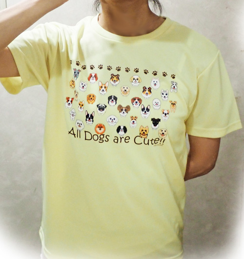 f:id:abcdogs:20210817161719j:plain