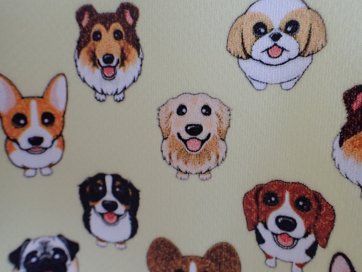 f:id:abcdogs:20210817161751j:plain