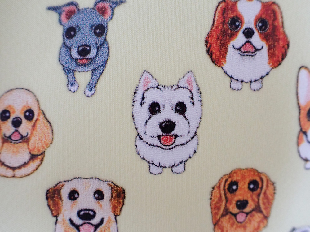 f:id:abcdogs:20210817161831j:plain