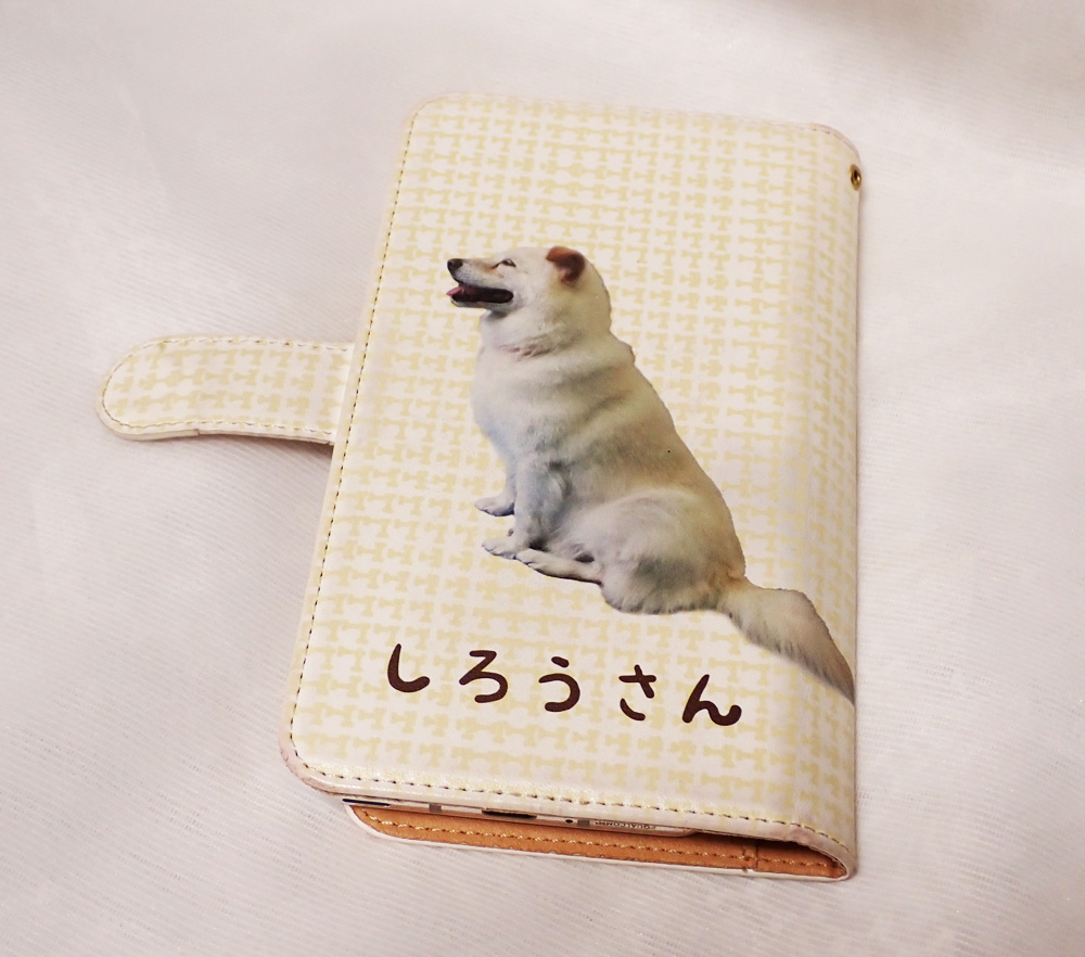 f:id:abcdogs:20210829184229j:plain