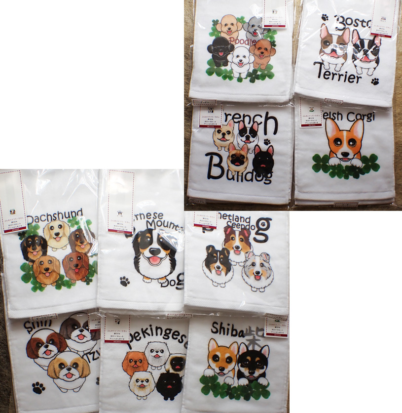 f:id:abcdogs:20210904113335j:plain