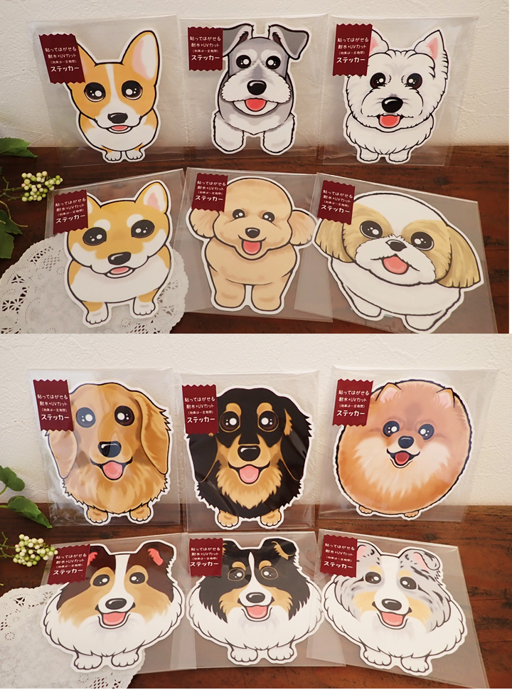 f:id:abcdogs:20210916151426j:plain