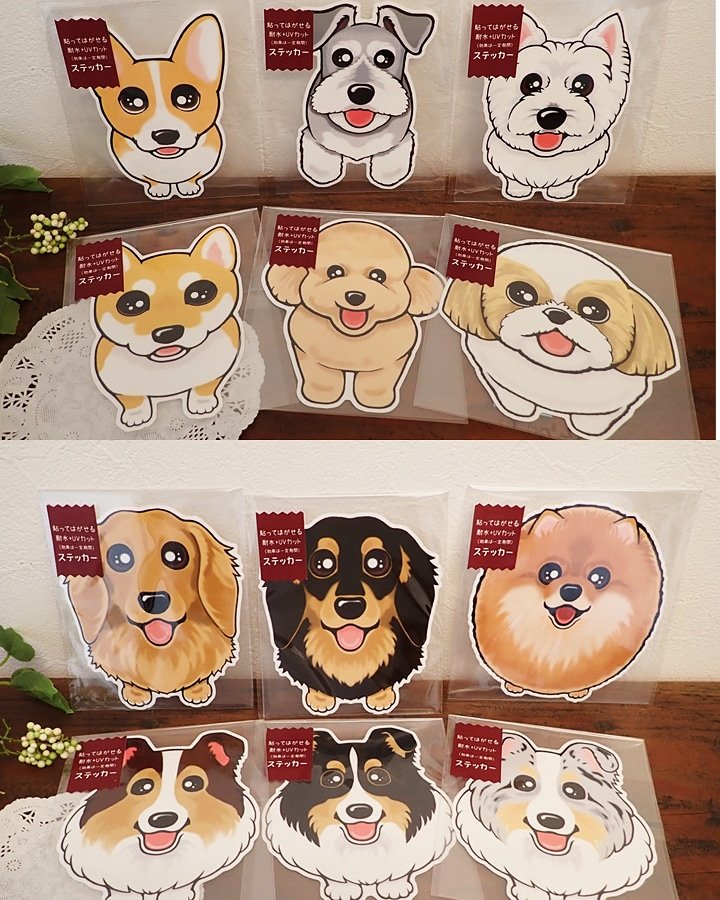 f:id:abcdogs:20210924185206j:plain