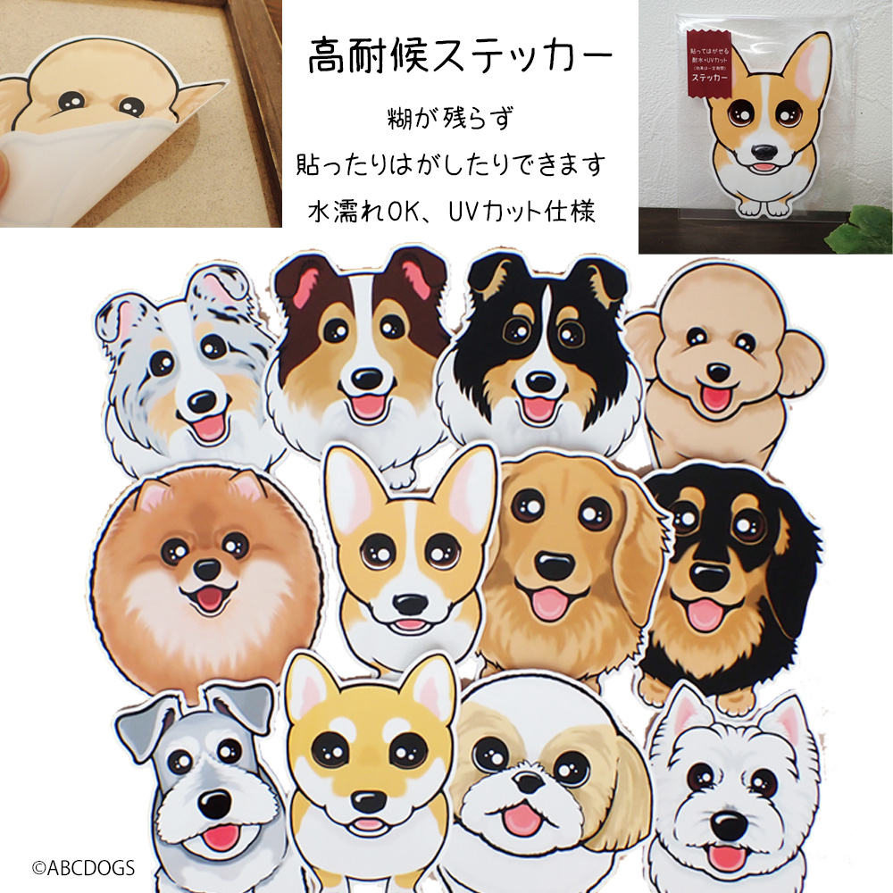 f:id:abcdogs:20211027111938j:plain