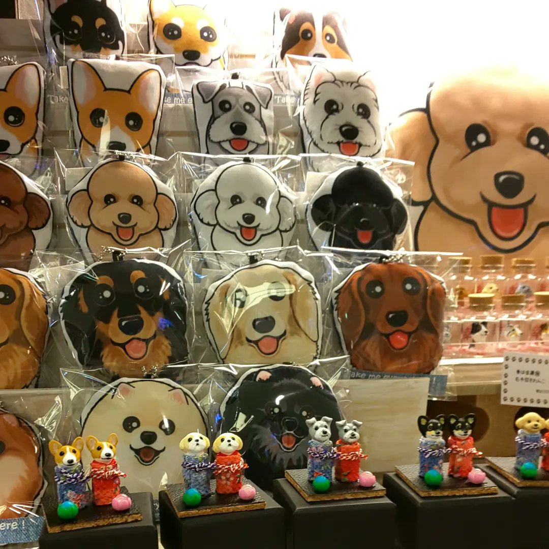 f:id:abcdogs:20220131231849j:plain