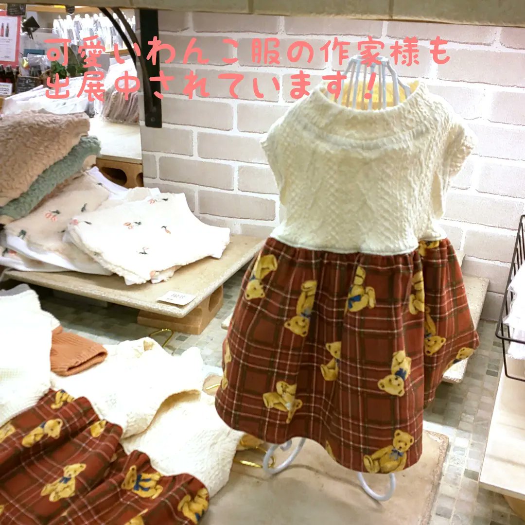 f:id:abcdogs:20220131231947j:plain