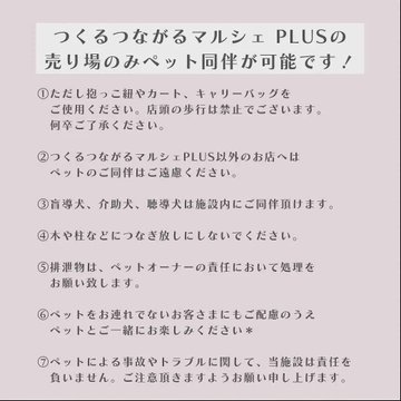 f:id:abcdogs:20220322204404j:plain