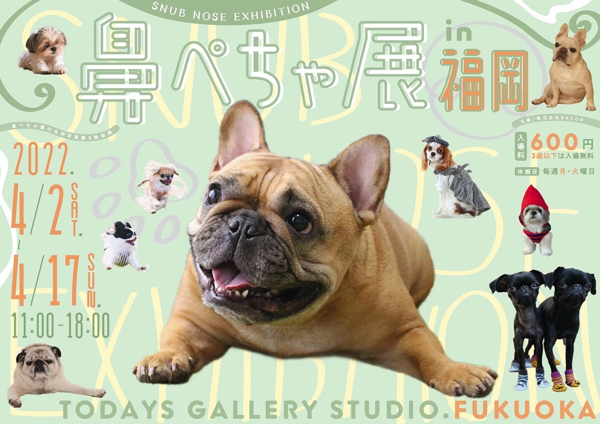 f:id:abcdogs:20220402205343j:plain