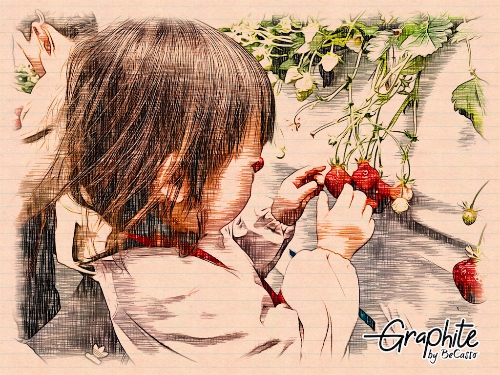 f:id:abckiki:20220320072959j:image f:id:abckiki:20220320072959j:image