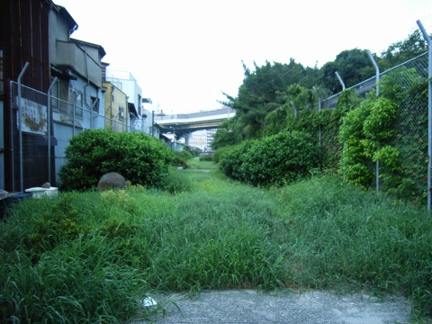 イメージ 7