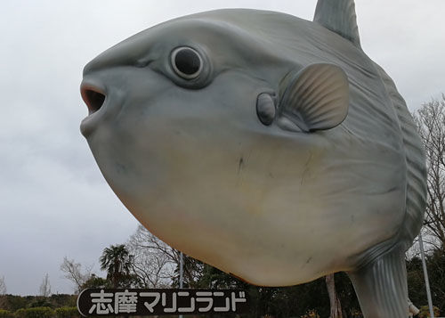 f:id:abcocksinger:20200206162716j:plain