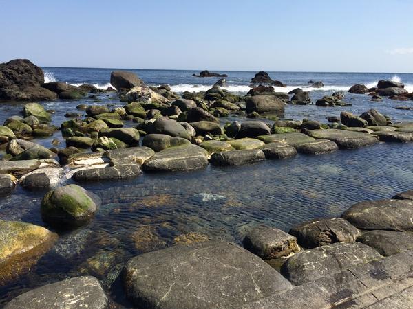 f:id:abdominalpore:20200706160854j:plain f:id:abdominalpore:20200706160854j:plain