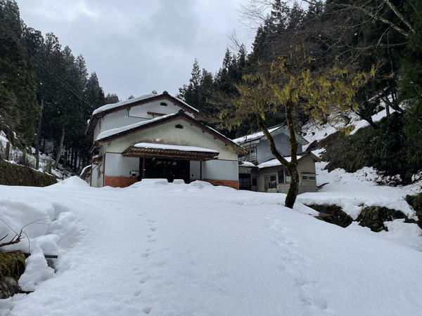 f:id:abdominalpore:20210209192403j:plain