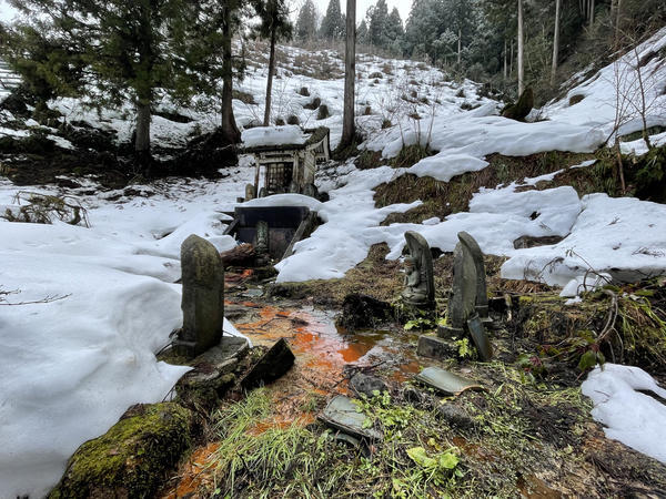 f:id:abdominalpore:20210209192432j:plain