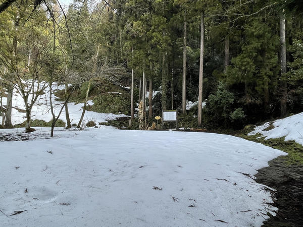 f:id:abdominalpore:20210209210241j:plain