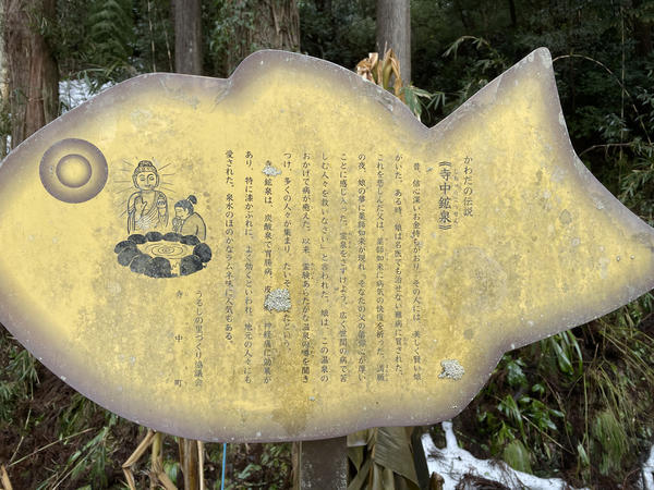 f:id:abdominalpore:20210209210308j:plain