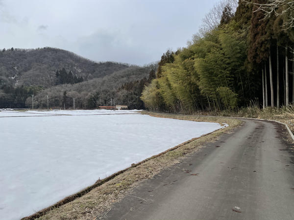 f:id:abdominalpore:20210209221728j:plain