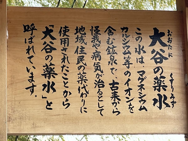 f:id:abdominalpore:20210209221813j:plain