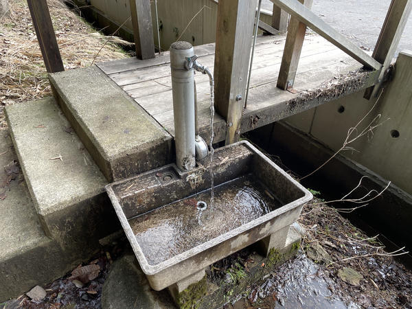 f:id:abdominalpore:20210209221827j:plain