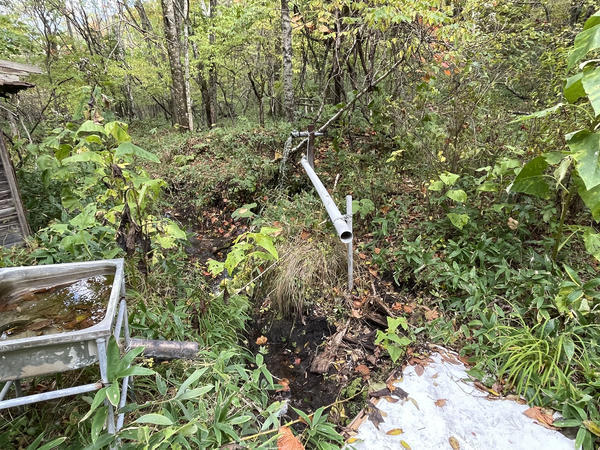 f:id:abdominalpore:20211008122408j:plain