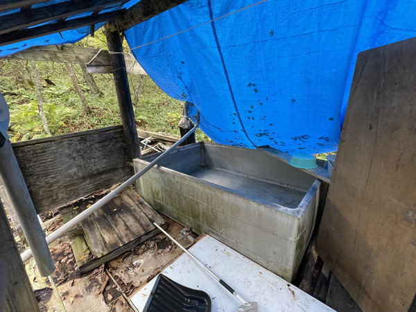 f:id:abdominalpore:20211008122439j:plain