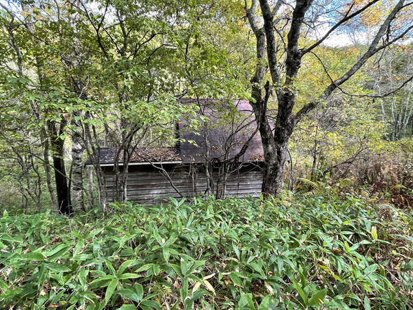 f:id:abdominalpore:20211008122528j:plain