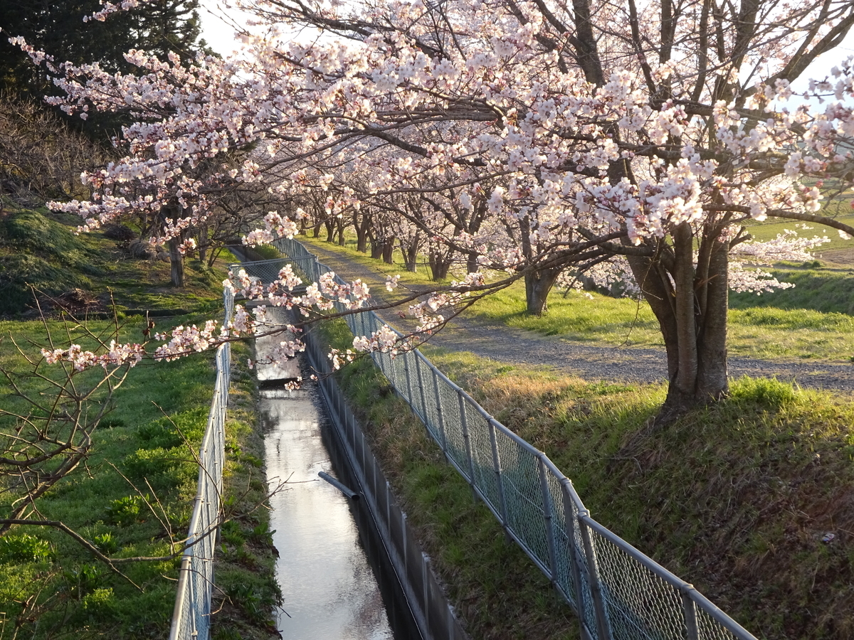 f:id:abe-yumiko:20190418162520j:plain
