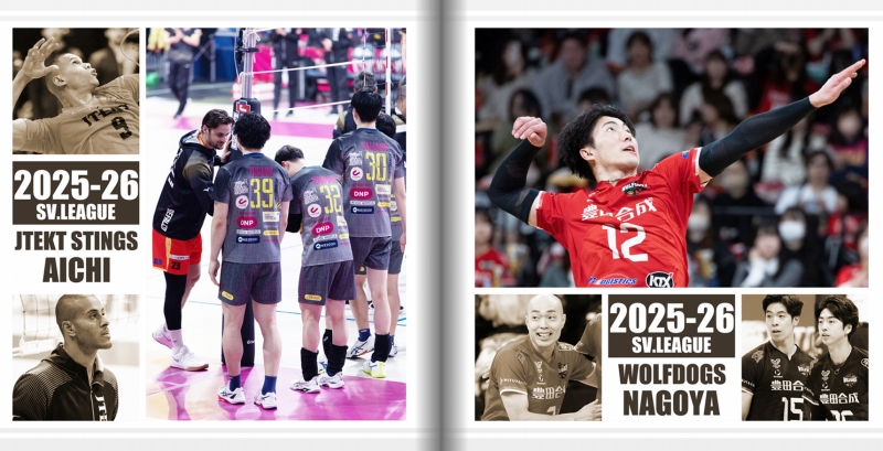 STINGS愛知、ウルフドッグス名古屋