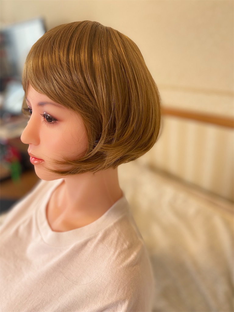 f:id:abe19kirihito:20211023020003j:image f:id:abe19kirihito:20211023020003j:image