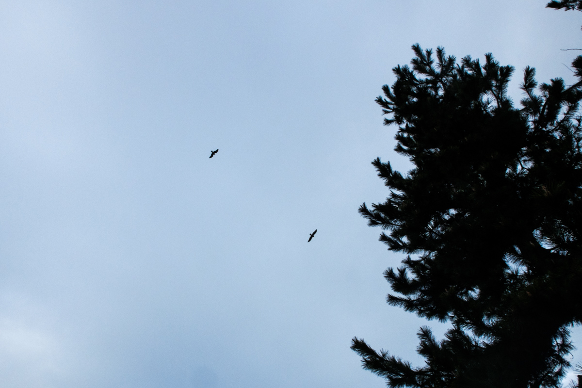 f:id:abe_photograph:20220406193720j:plain