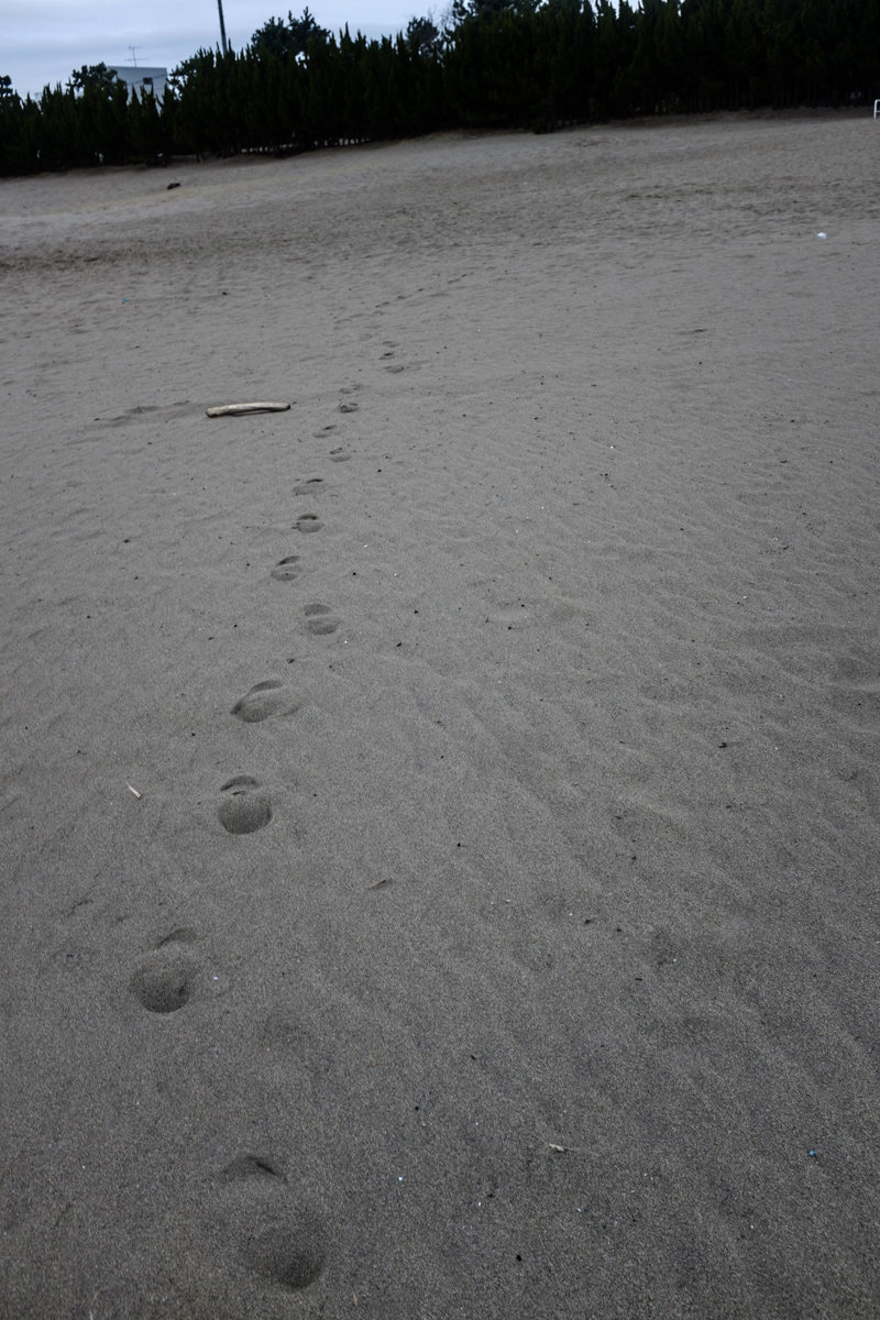 f:id:abe_photograph:20220406195404j:plain