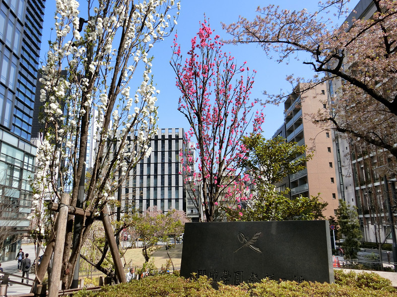 f:id:abebecchi:20180401191948j:plain