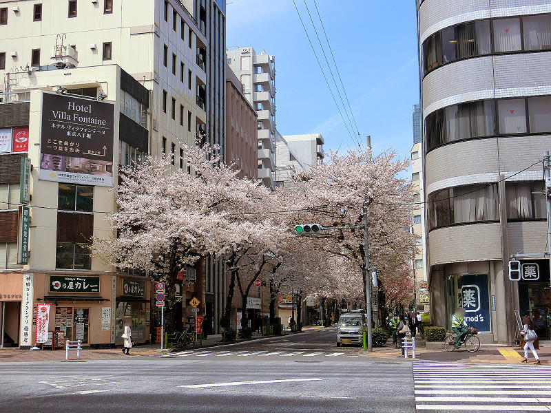 f:id:abebecchi:20190421190535j:plain