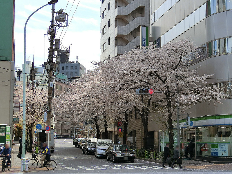 f:id:abebecchi:20190421190556j:plain