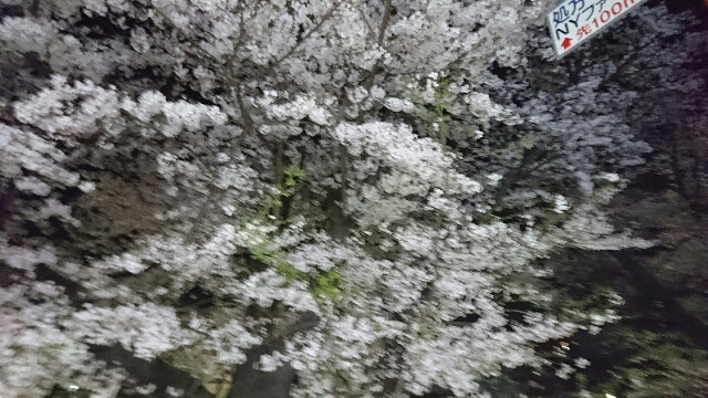f:id:abebetaro:20170410235653j:image