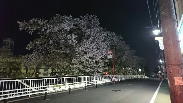f:id:abebetaro:20170410235719j:image