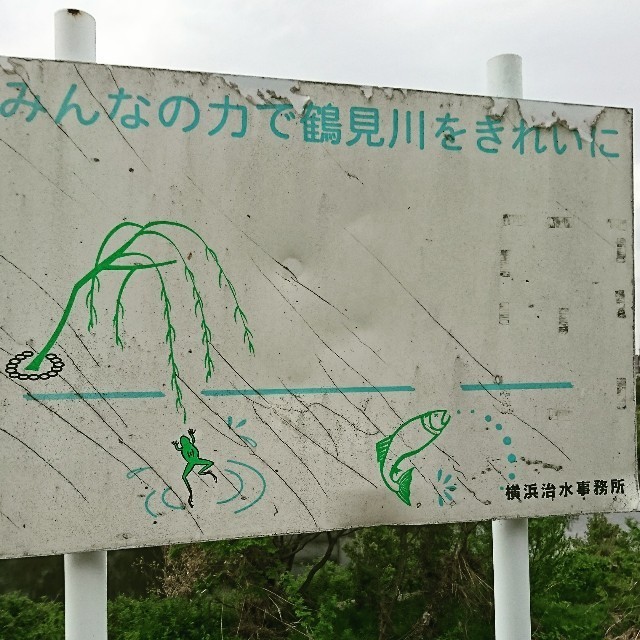 f:id:abebetaro:20180418071019j:image