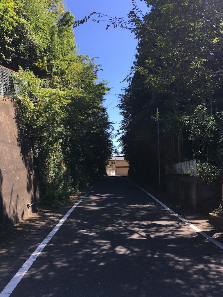 f:id:abechannel:20190916220515j:image