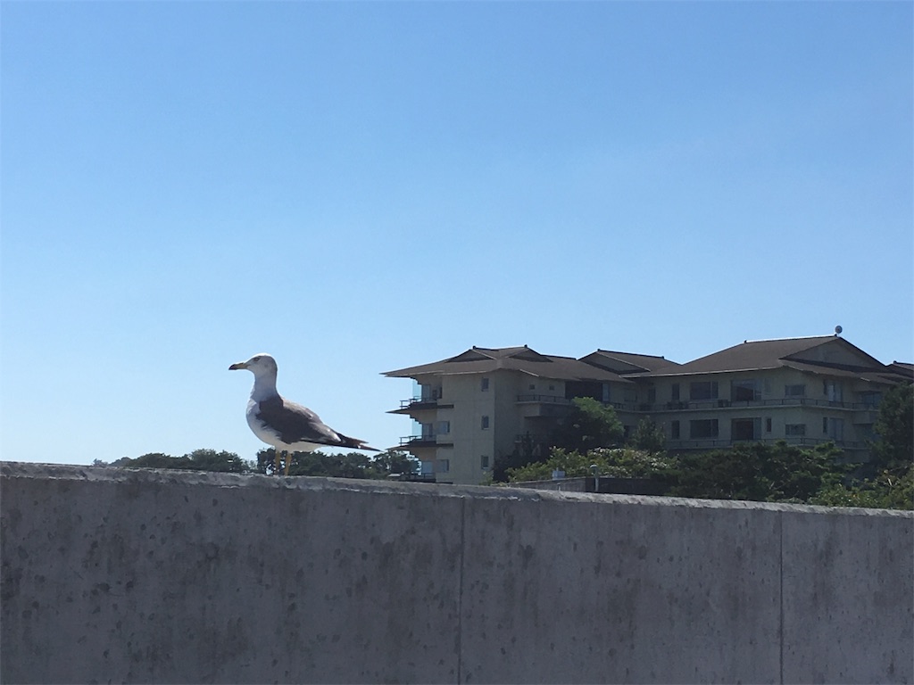 f:id:abechannel:20190916220809j:image